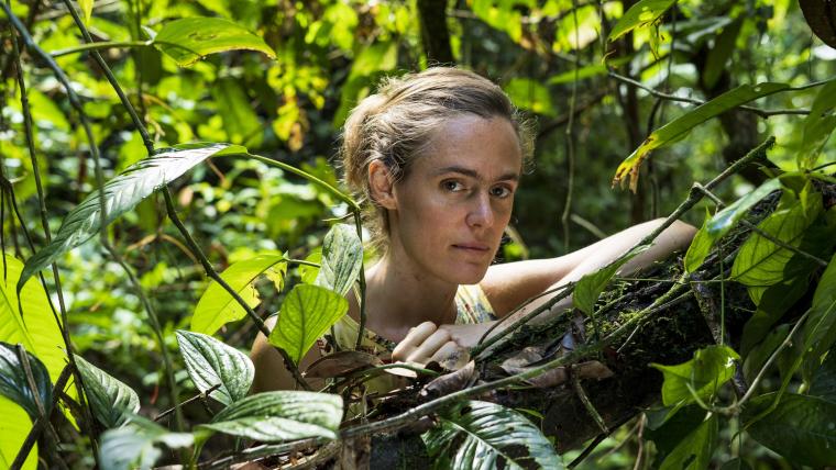 Pressbild Lotten Collin 